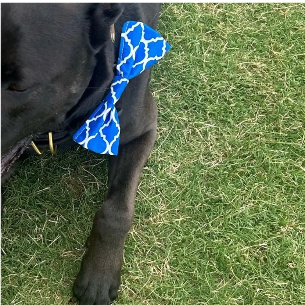 Hand Crafted Royal Blue Patterned Dog Bow Tie Cotton Fabric Collar 6” Accessory
